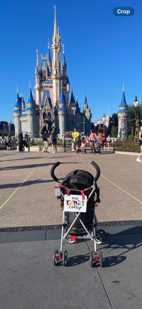 Aluminum Stroller Sign